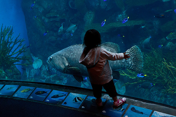 That's a big fish mom