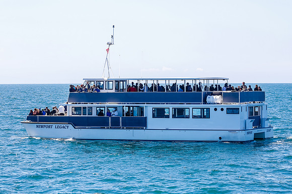 NB-whale watching-5609