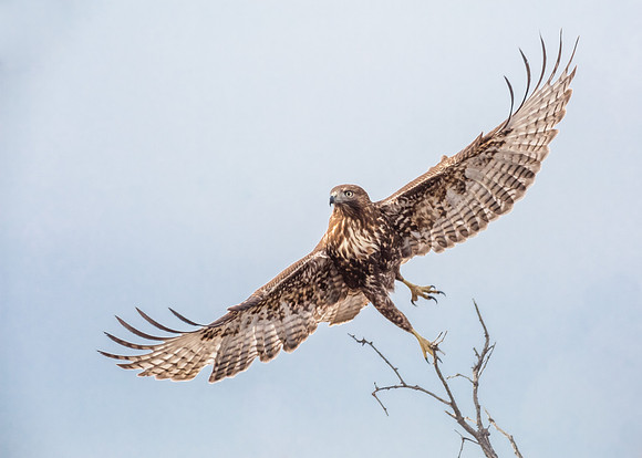 I wanna fly away.....
