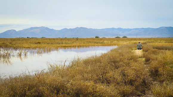 AZ-Tucson 2014-sx60-0129