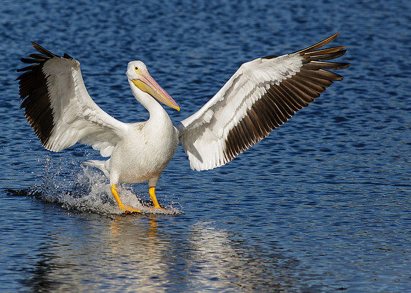 Smooth Landing