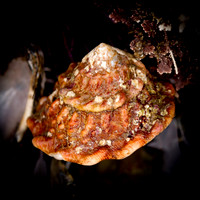 CDM-beach-6063