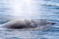 LA-San Pedro-2015-9834