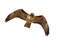 Sd-Lakehodges-2012-4295