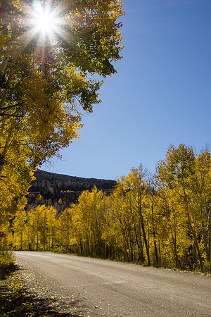 Kolob-140255