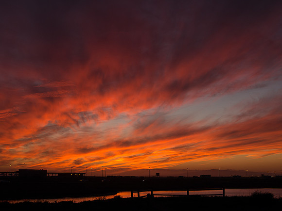 BolsaChica-2012-060233