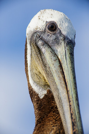 Get my good side......