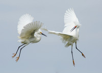 Mid-air battle