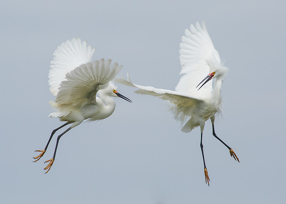 Mid-air battle