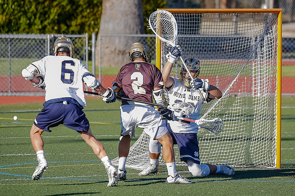 ND-Lacrosse-0329-8575