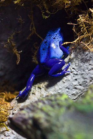 LB-aquarium-0601