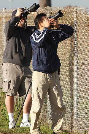 Heron Paparazzi
