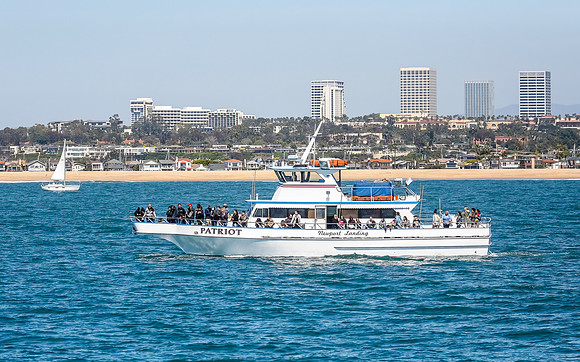 NB-whale watching-5777