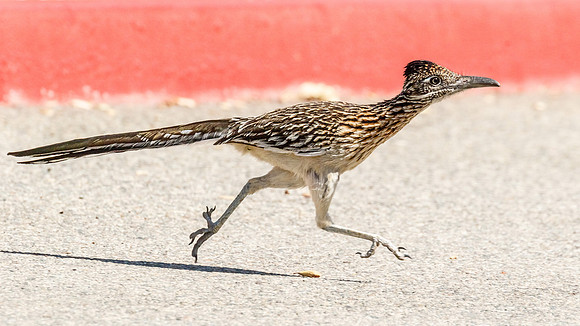 Road running.......