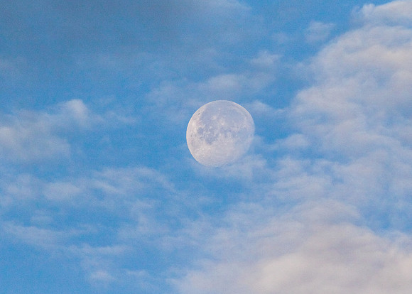 Morning moon