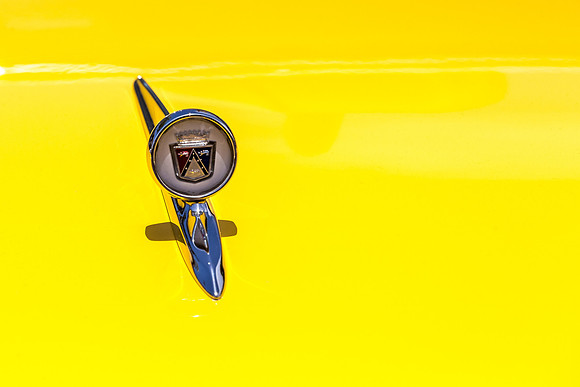 Yellow hood