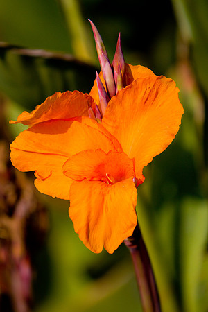 La-arboretum-68