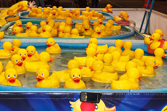 OC fair 2012-4464