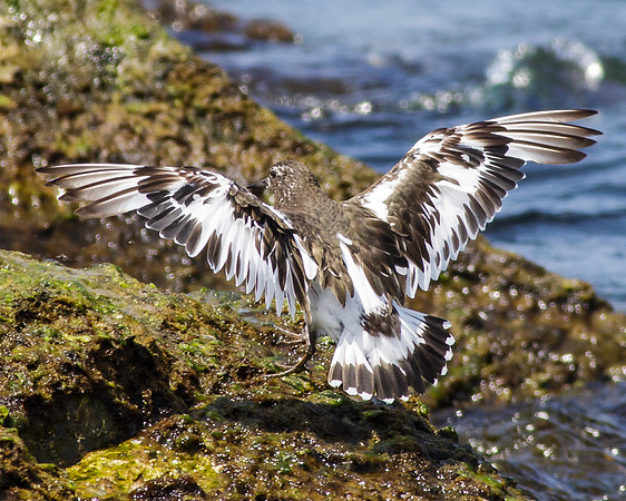 Smooth Landing