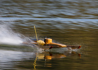 LA-Legg Lake-3154