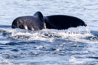 LA-San Pedro-2015-0030