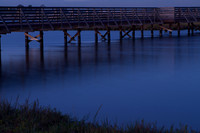 BolsaChica-5868
