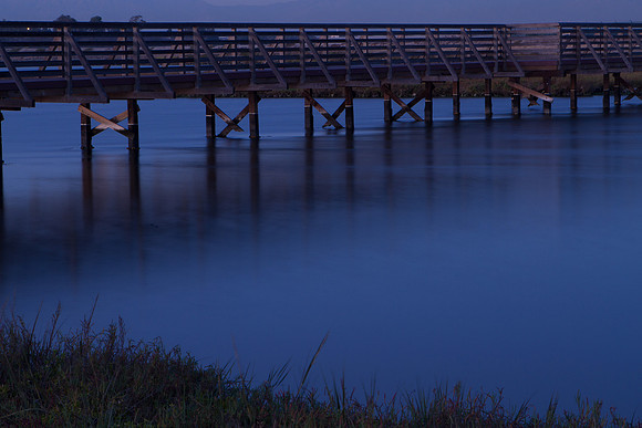 BolsaChica-5868