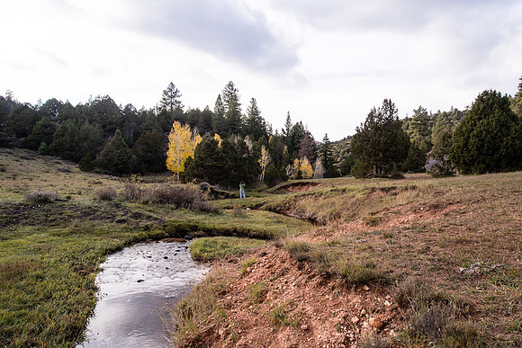 So-Utah2012-130147