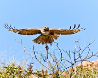 LakeHodges2012-9257-Edit