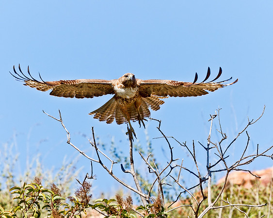 LakeHodges2012-9257-Edit
