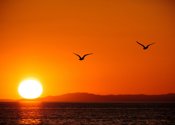 Sunset flight