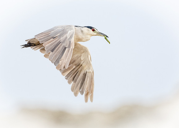 Green grab