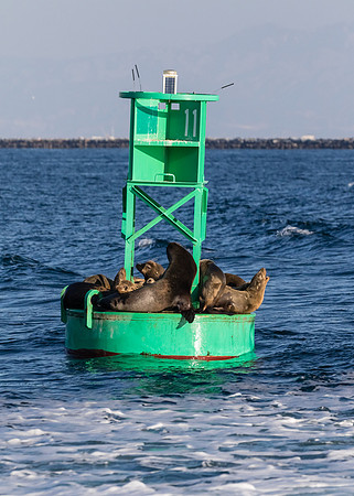 LA-San Pedro-2015-0270