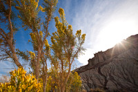 RedRockCyn-3671