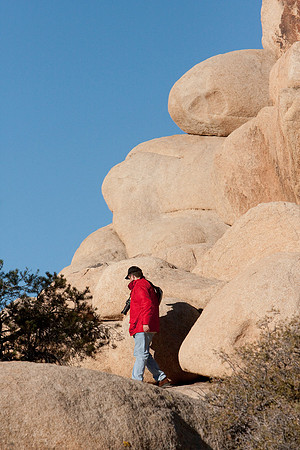 joshuatree09-0682