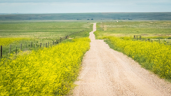 Take the long way home......