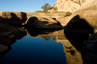 joshuatree09-2528
