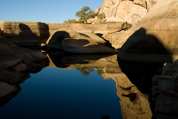 joshuatree09-2528