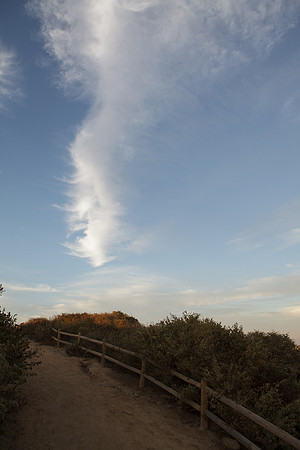 BolsaChica-2012-8779