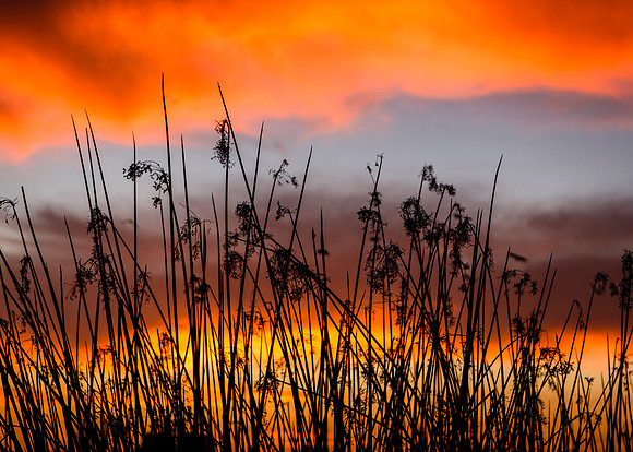 Sunset Clouds