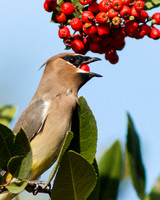 Down the Hatch....