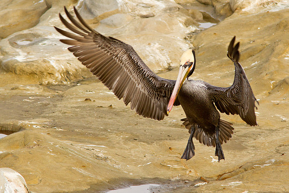 Final approach