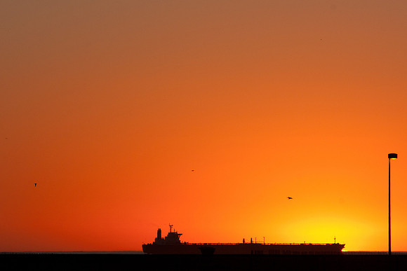 BolsaChica-4081