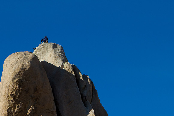 joshuatree09-2234