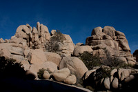 joshuatree09-0446