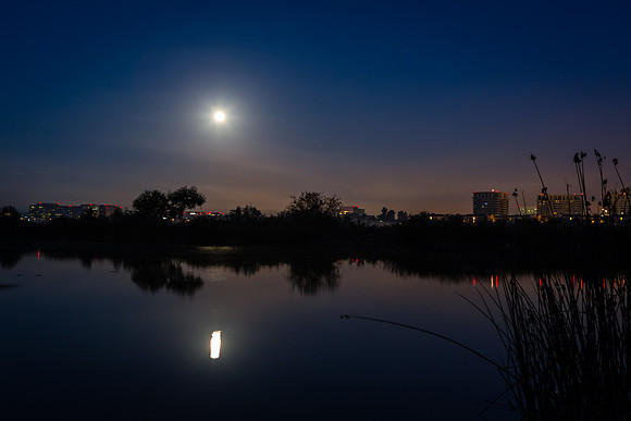 October Blood Moon