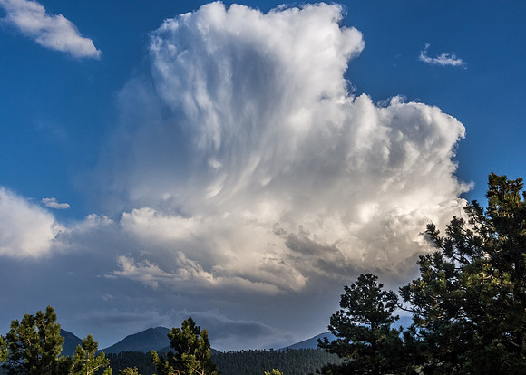 CO-RockyMtnNP-OLY-0616-6200097