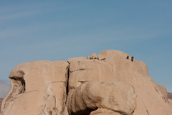 joshuatree09-0485