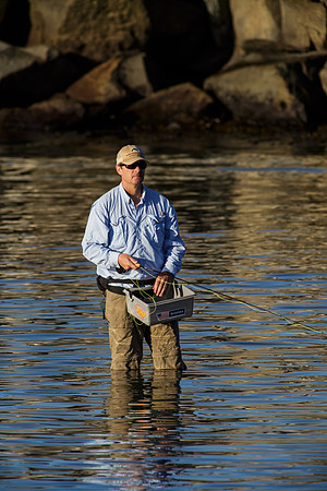 OC-Dana Point Pelagic 2014-5723