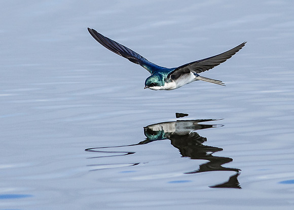 Flying low